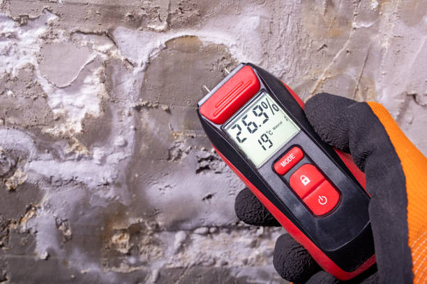 Best Black Mold Removal  in Mount Gilead, OH
