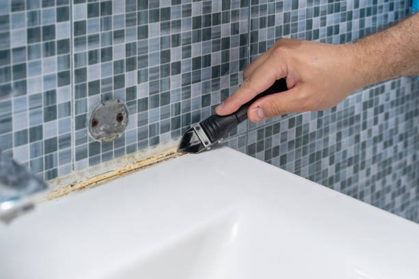 Certified Mold Removal in Mount Gilead, OH